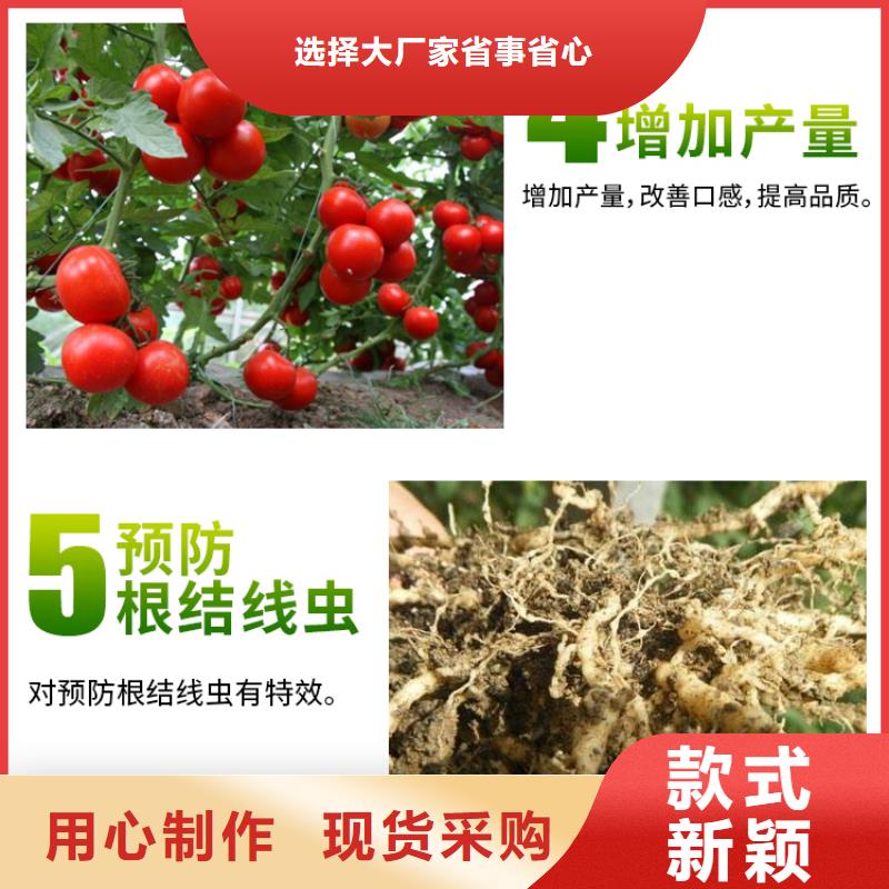 微生物菌劑優(yōu)質(zhì)供貨廠家工藝層層把關(guān)