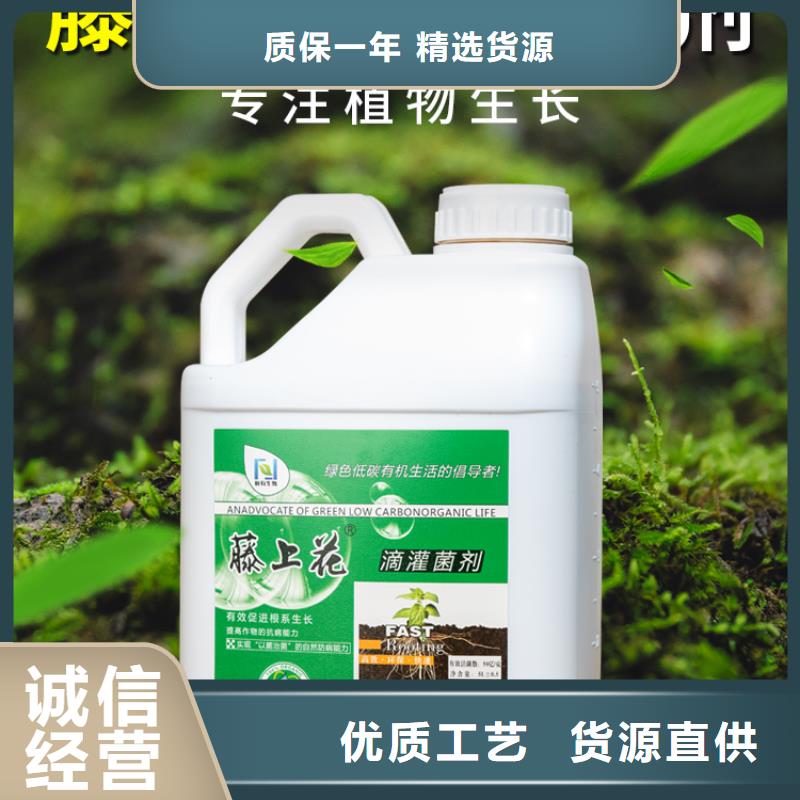 優惠的使用效果實體廠家廠家