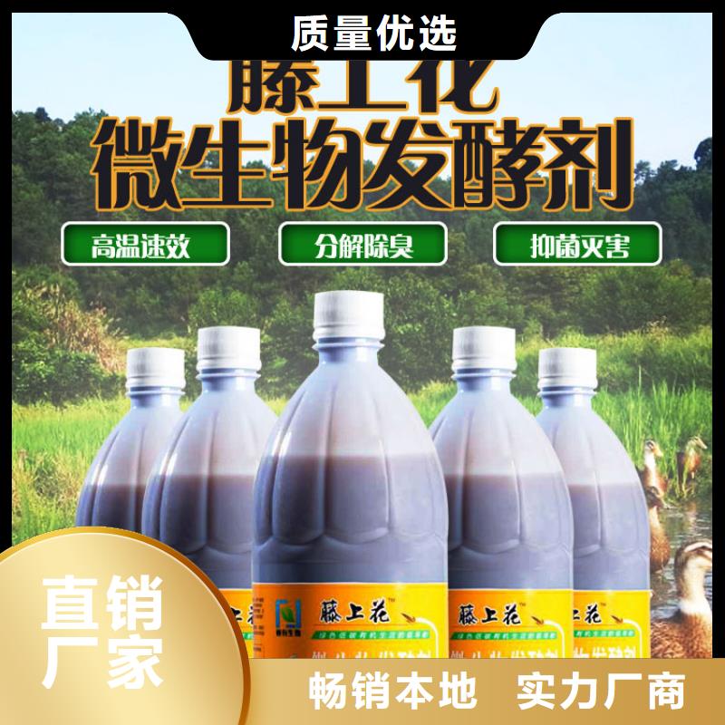 使用效果貼心服務