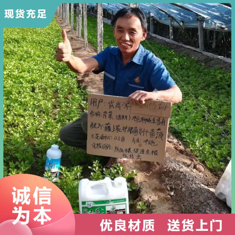 使用效果廠家-只為制造精品