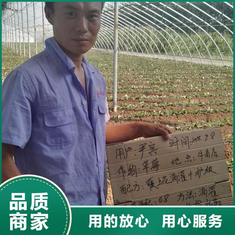 采購使用效果必看-高性價比