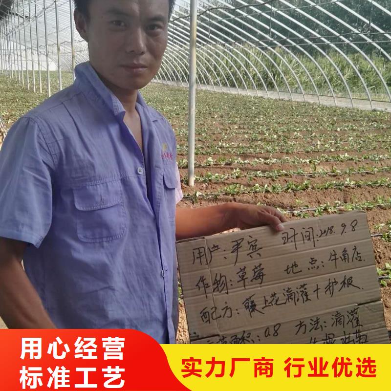 使用效果好品質