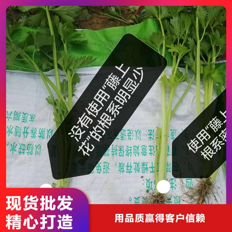 使用效果-您身邊的使用效果廠家