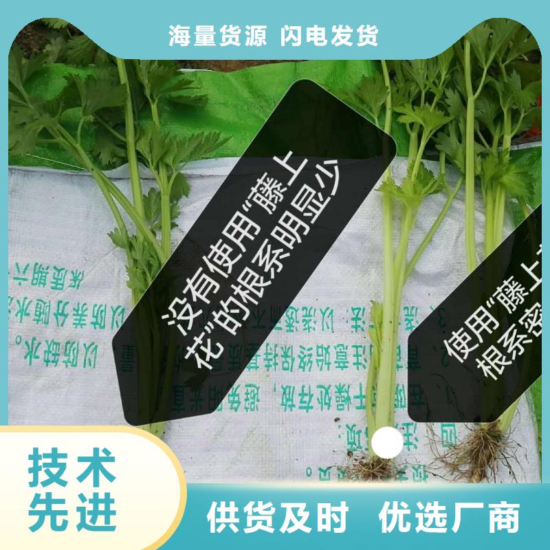 供應批發使用效果-省心廠家工藝先進