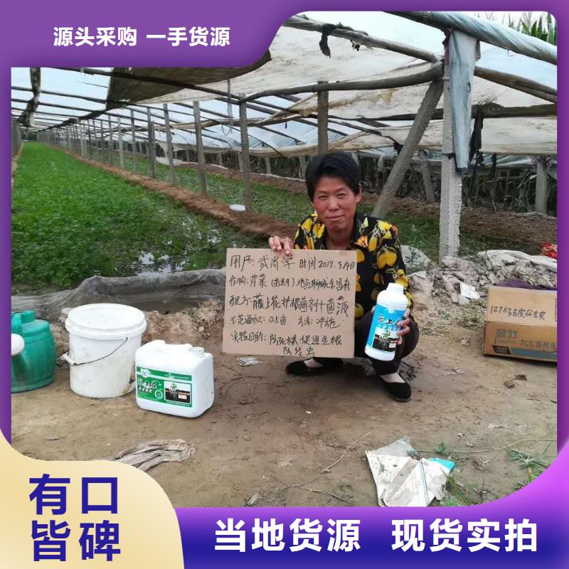 使用效果真貨源