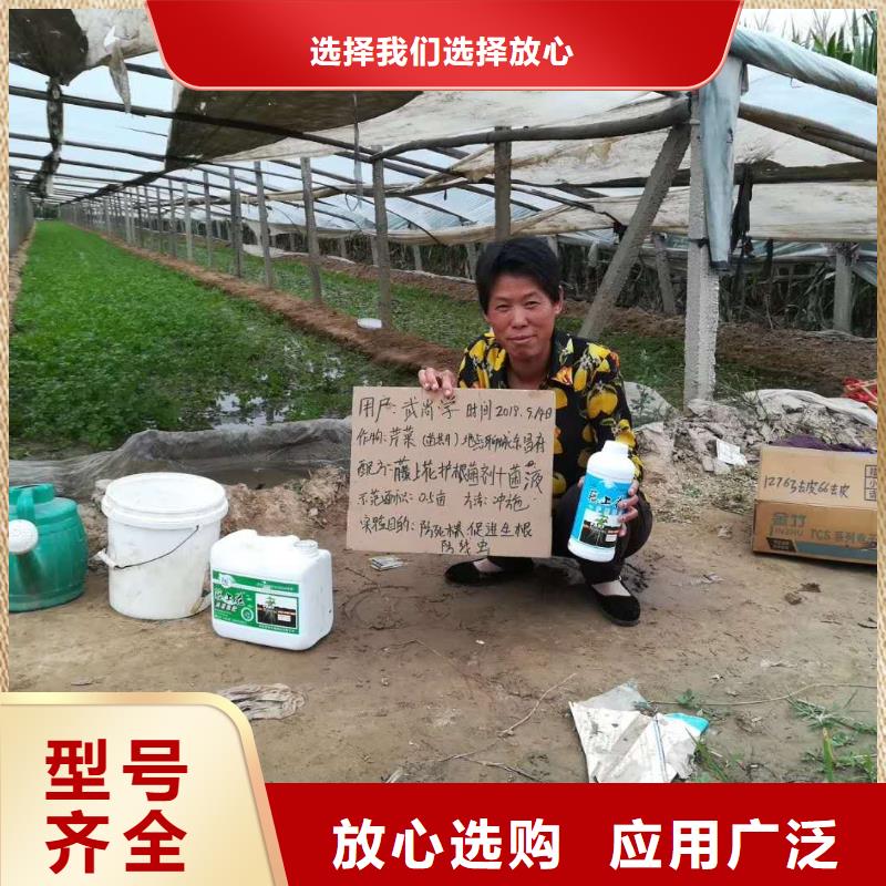 使用效果、使用效果廠家_大量現貨