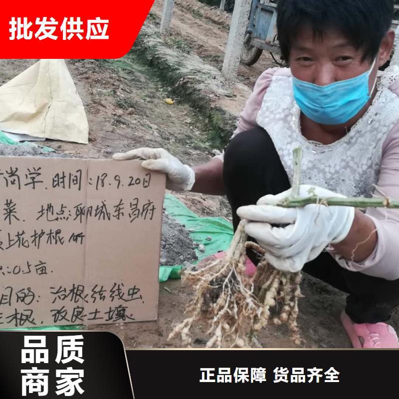 使用效果批發(fā)零售-定做_恒有生物科技有限公司本地制造商