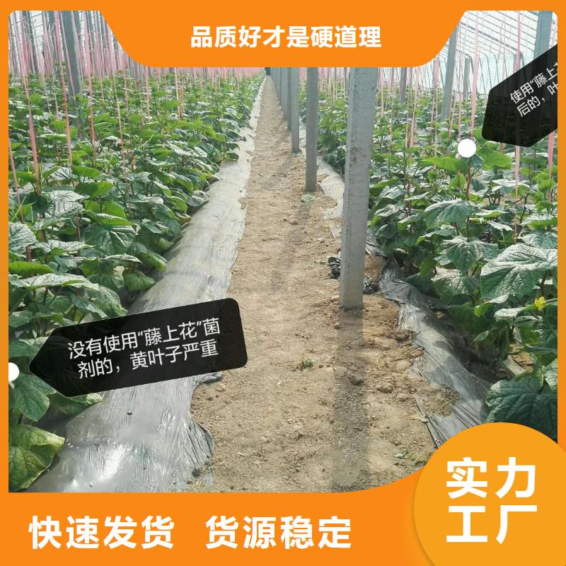 使用效果-好品質、放心買