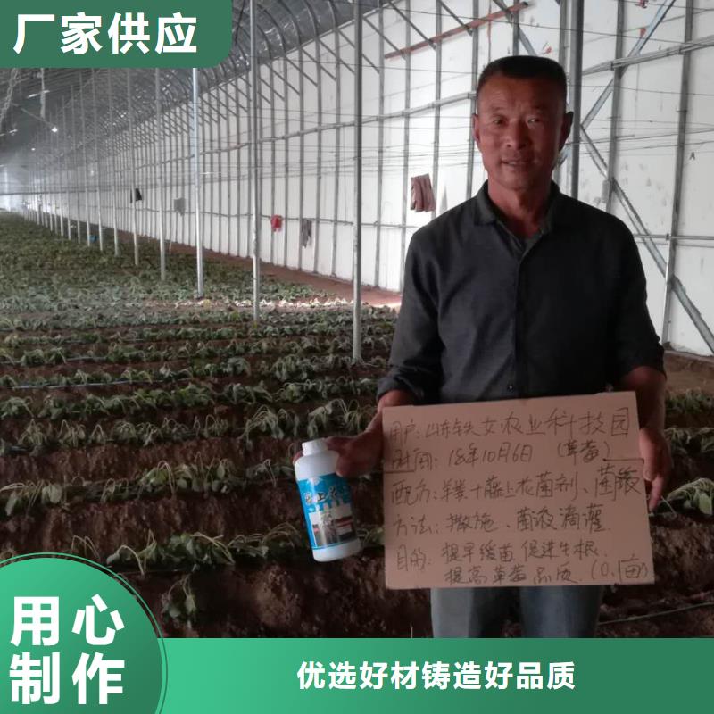 供應使用效果的廠家