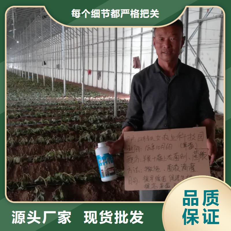 黃腐酸腐殖酸的區別哪家好