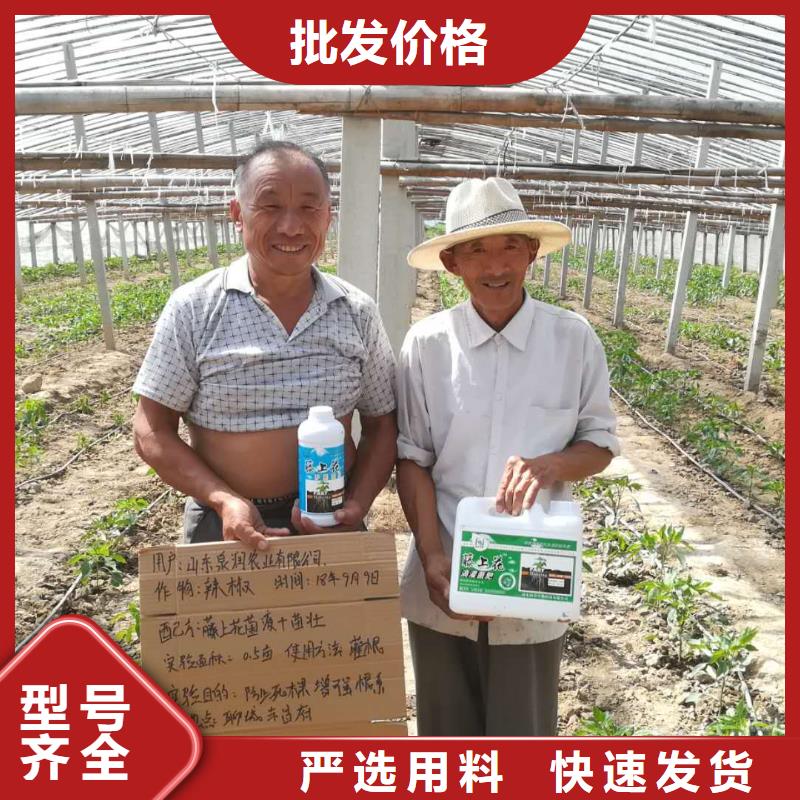 使用效果廠