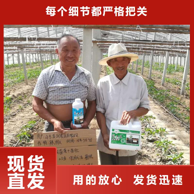 使用效果三年質保