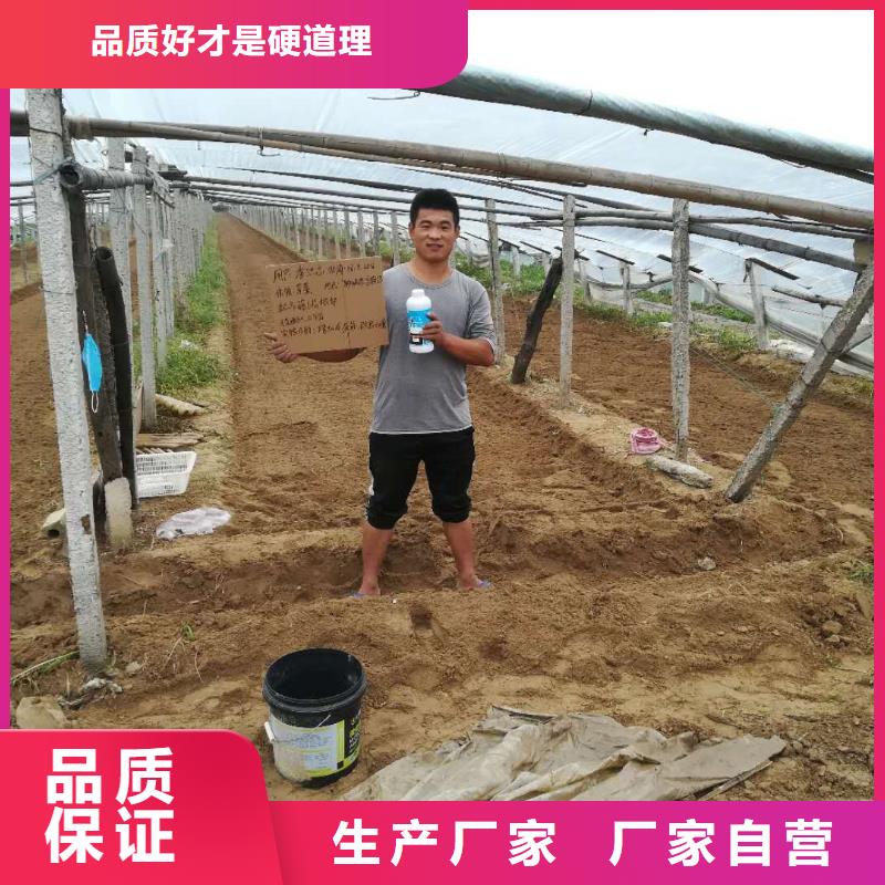 批發使用效果_廠家/供應