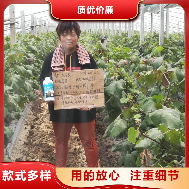 使用效果廠家發貨及時本地服務商