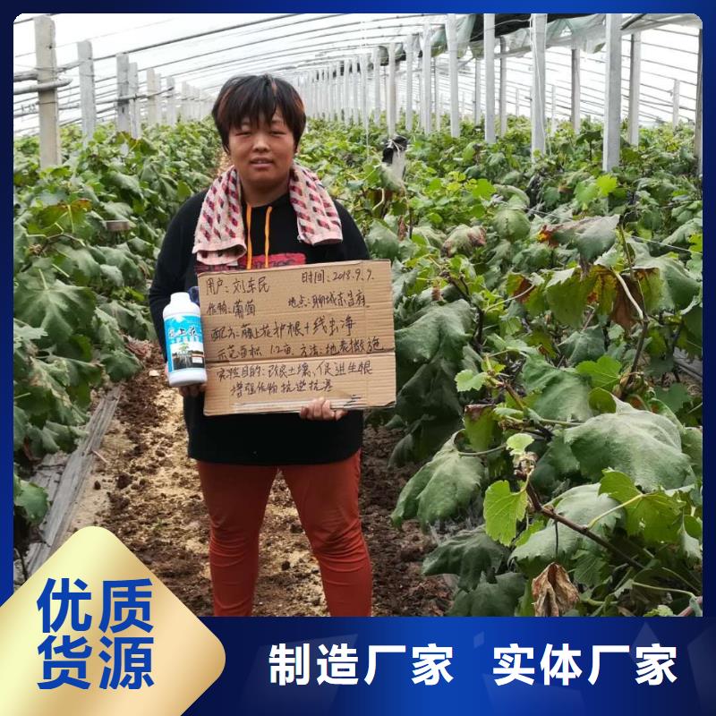 使用效果質量上乘