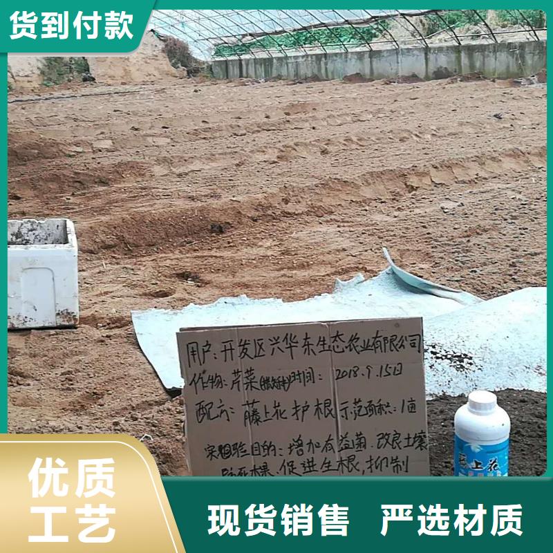 使用效果常年批發