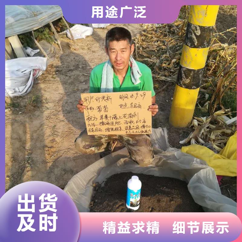 使用效果廠家_使用效果