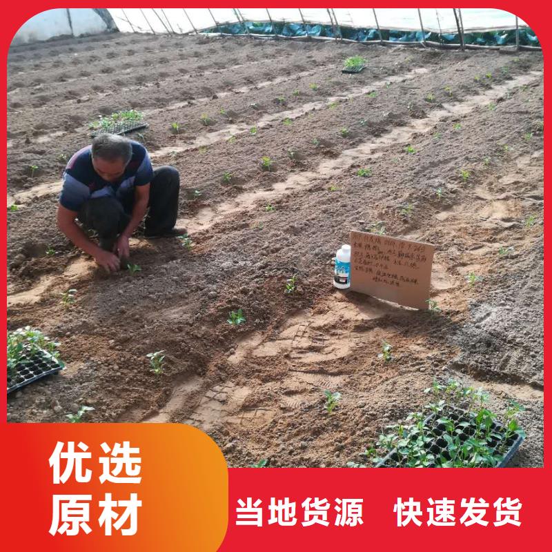 使用效果物美價廉廠家