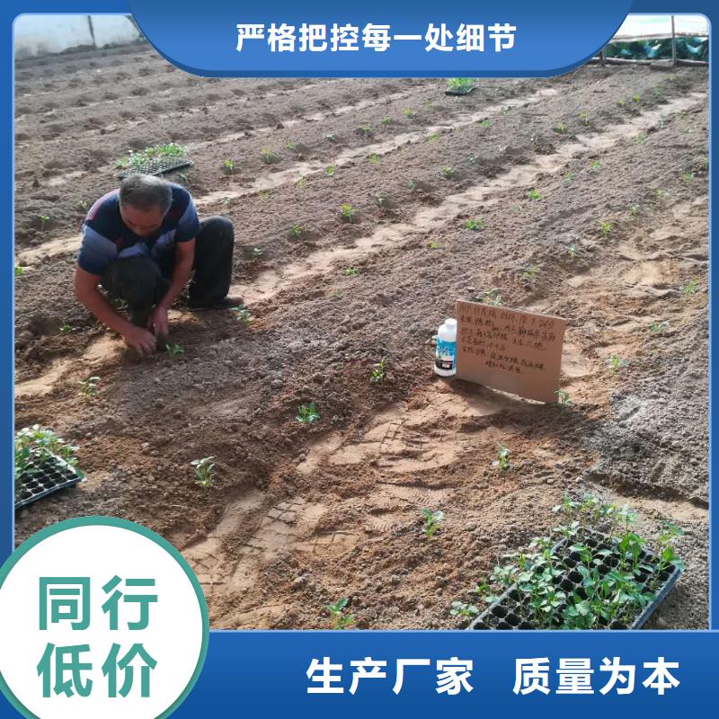 使用效果廠家-只為制造精品價格實惠工廠直供