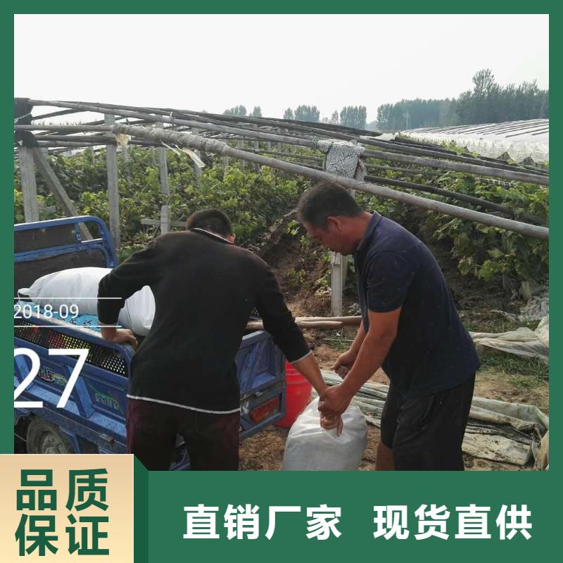 靠譜的使用效果公司