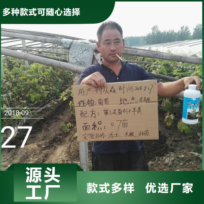 優選使用效果用心做好每一件產品