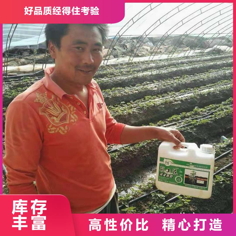 工厂自营(恒有生物)全水溶菌剂支持定做   