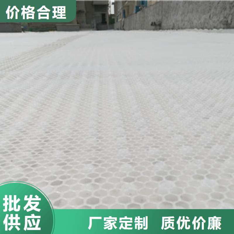 排水板植草格直供全國品牌:本地廠家