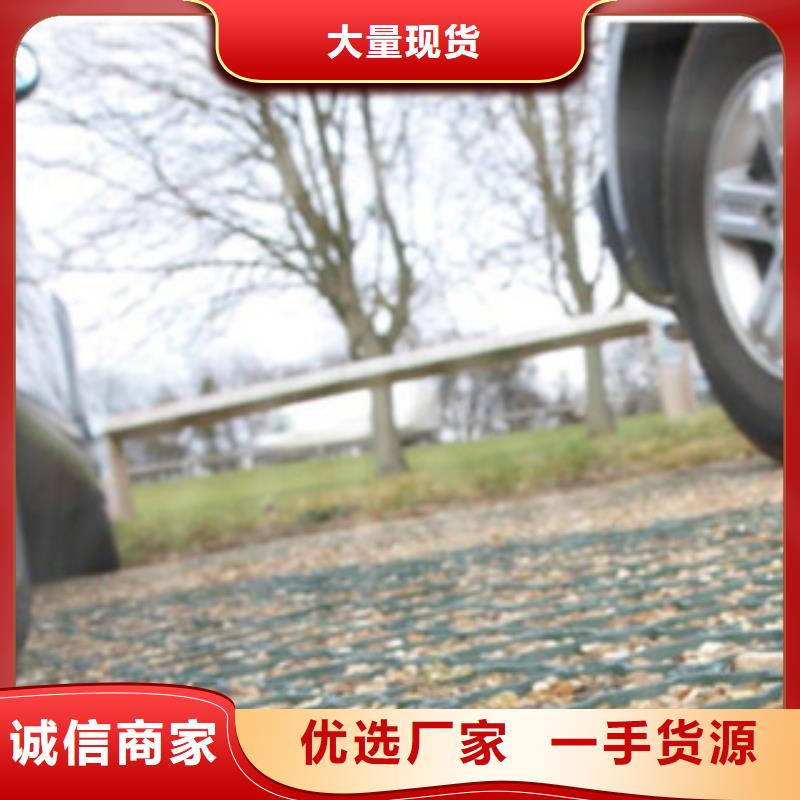 排水板植草格-物優價廉
