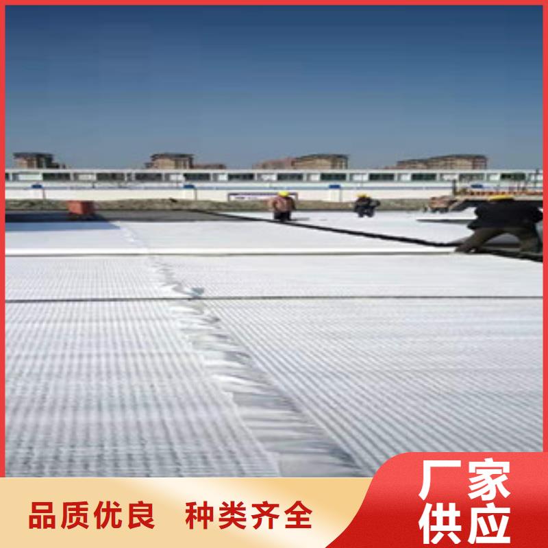 排水板植草格品牌:華旭土工合成材料有限公司