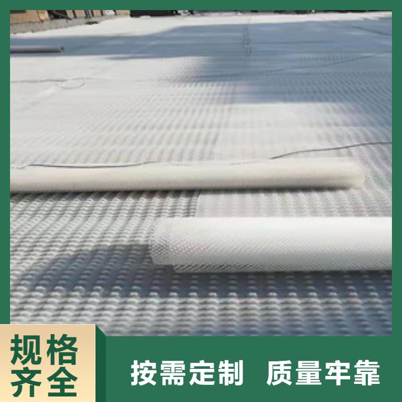 2025歡迎訪問##排水板植草格##公司