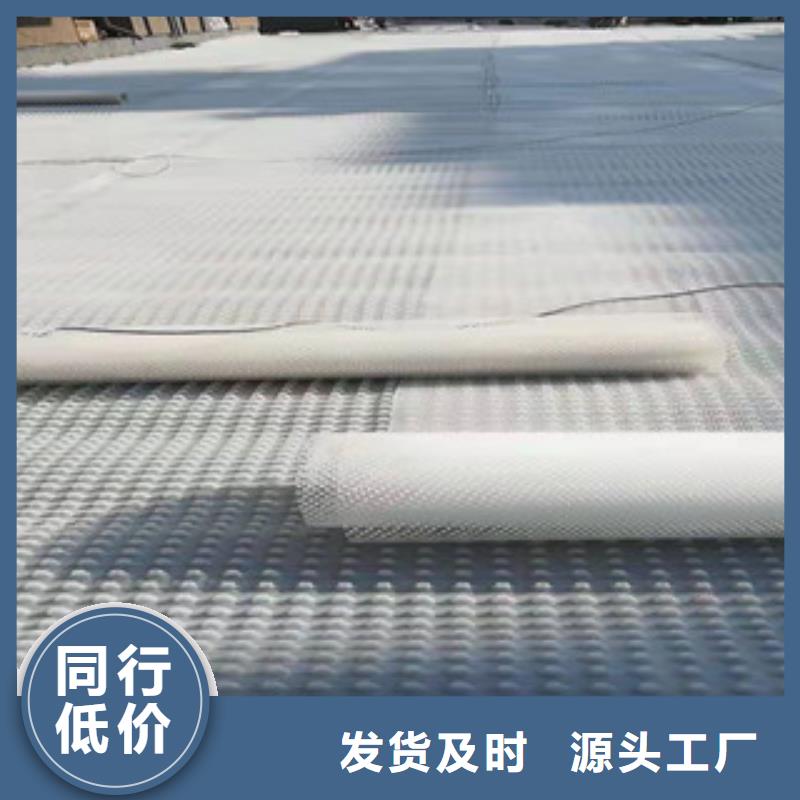 凹凸排水板30mm高度實力廠家現貨華旭土工