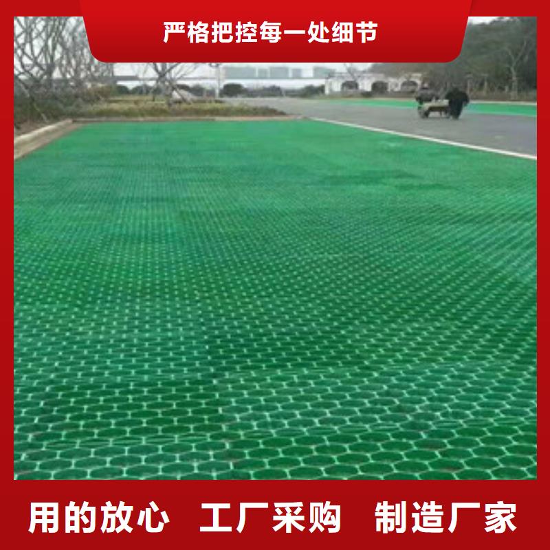 排水板植草格大型生產廠家