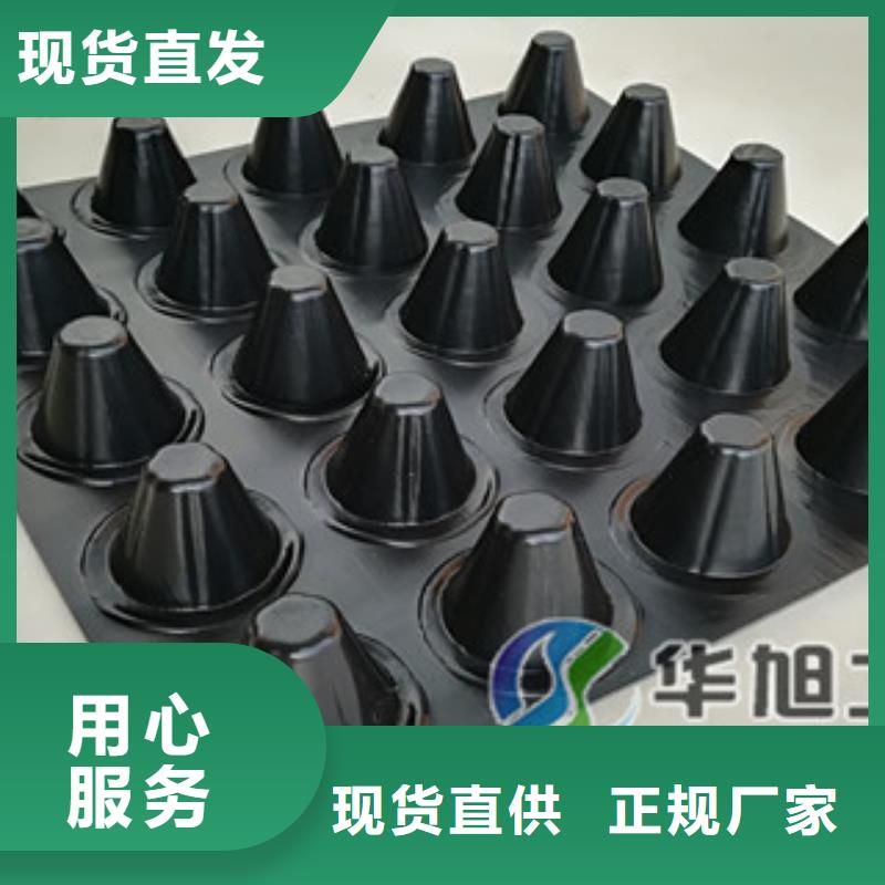 排水板植草格廠家發貨快本地供應商