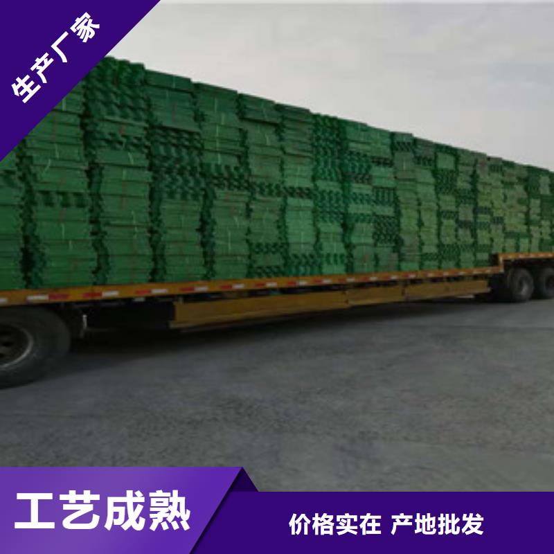 排水板植草格大型生產廠家