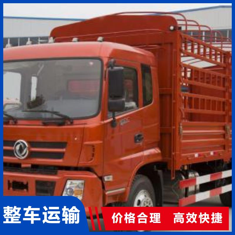朝陽專業(yè)銷售29_1_商務(wù)服務(wù)-全國配送