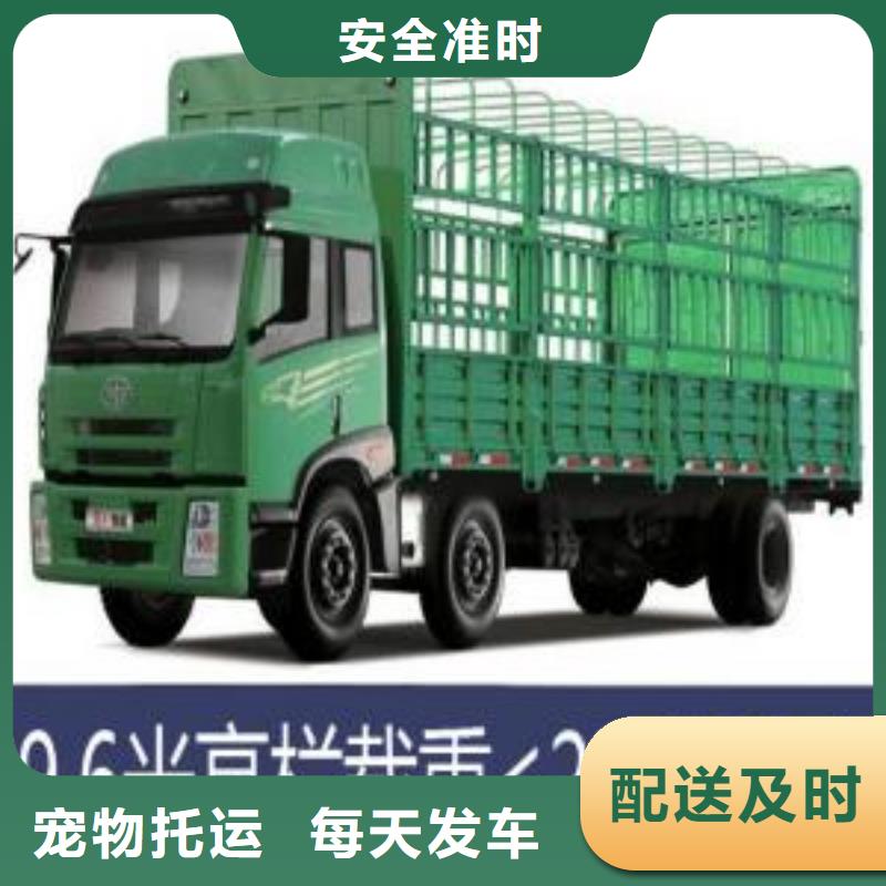 阜新29_1_商務服務廠家-質量可靠