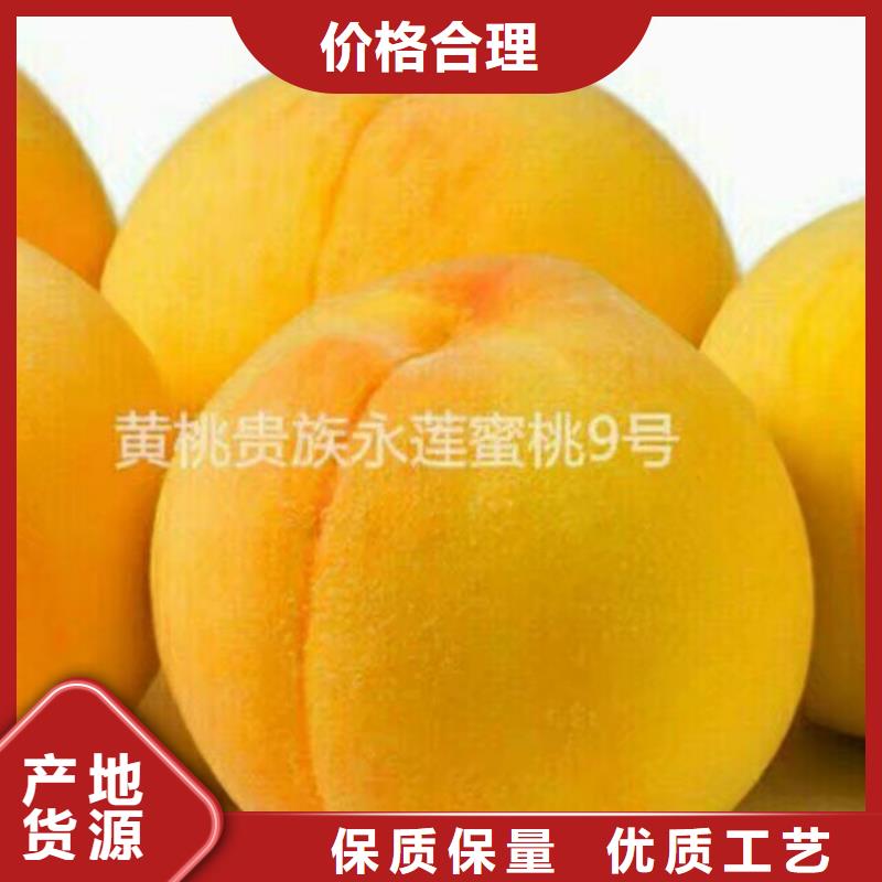 桃苗廠家直發(fā)-價格透明