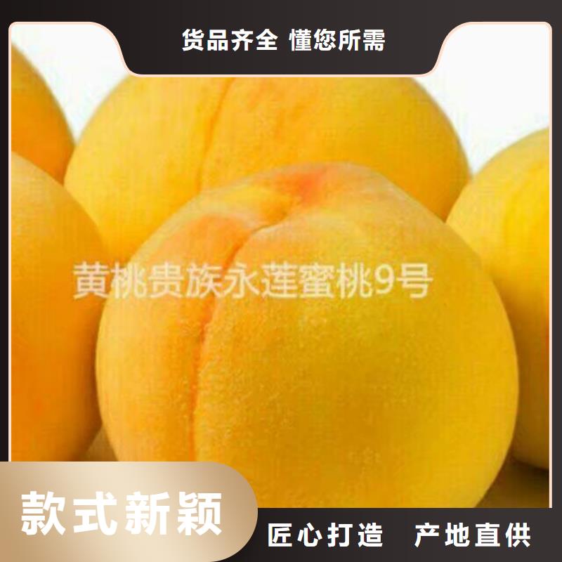 桃苗現(xiàn)貨即發(fā)