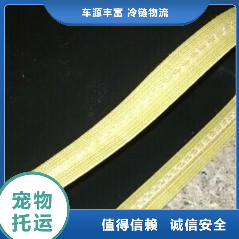 肥城規格齊全的鐵氟龍輸送帶公司