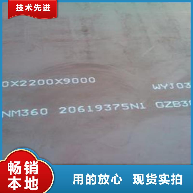 耐磨板NM360廠家
