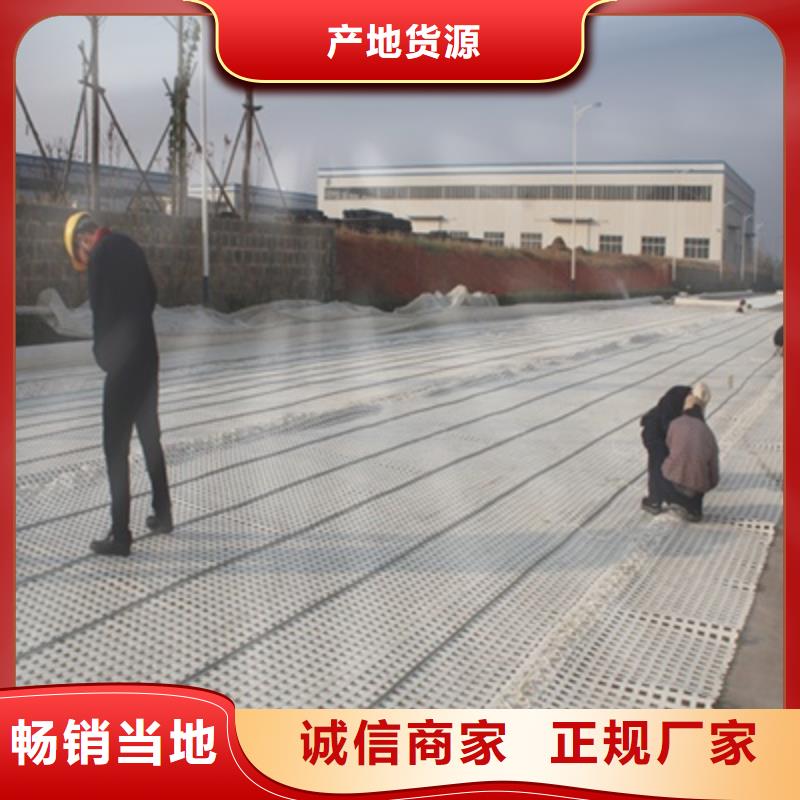 定制土工格柵網(wǎng)墊廠家