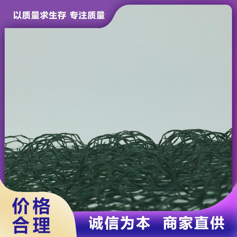 土工格柵網墊-咨詢免費
