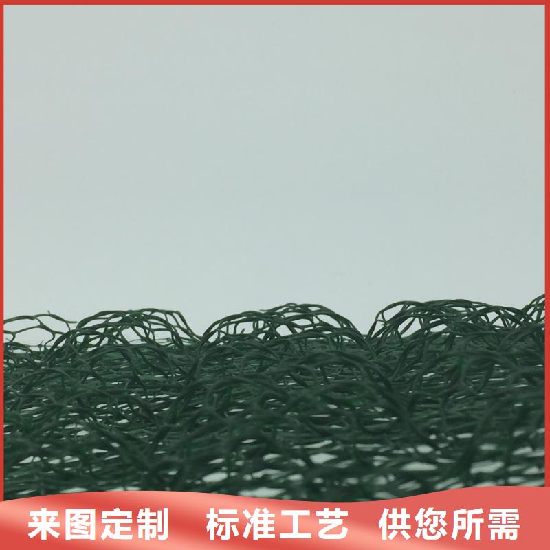 土工格柵網(wǎng)墊安裝價格