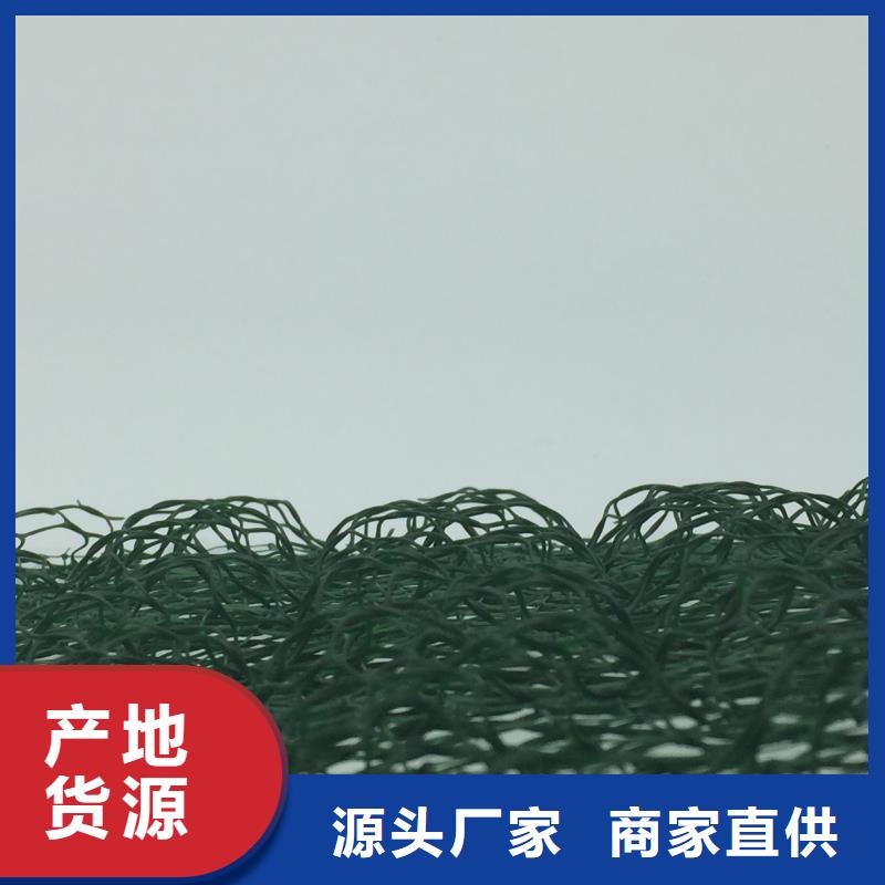 專業銷售土工格柵網墊-放心