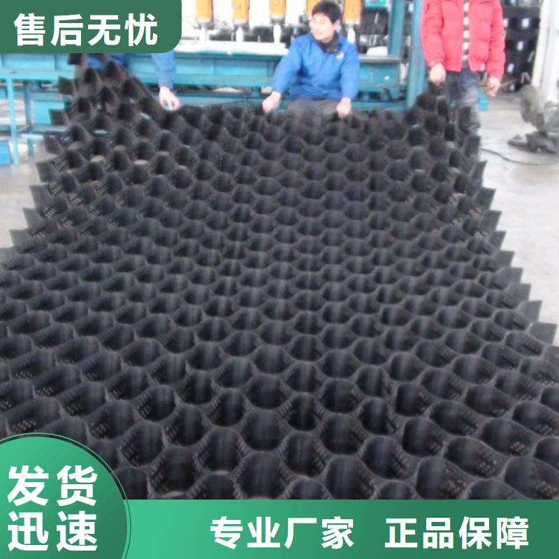 土工格柵網(wǎng)墊廠家-現(xiàn)貨足