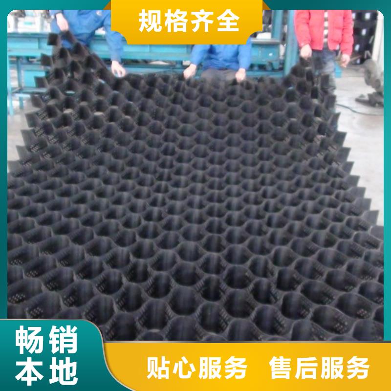 經(jīng)驗(yàn)豐富的土工格柵網(wǎng)墊廠家當(dāng)?shù)亟?jīng)銷商
