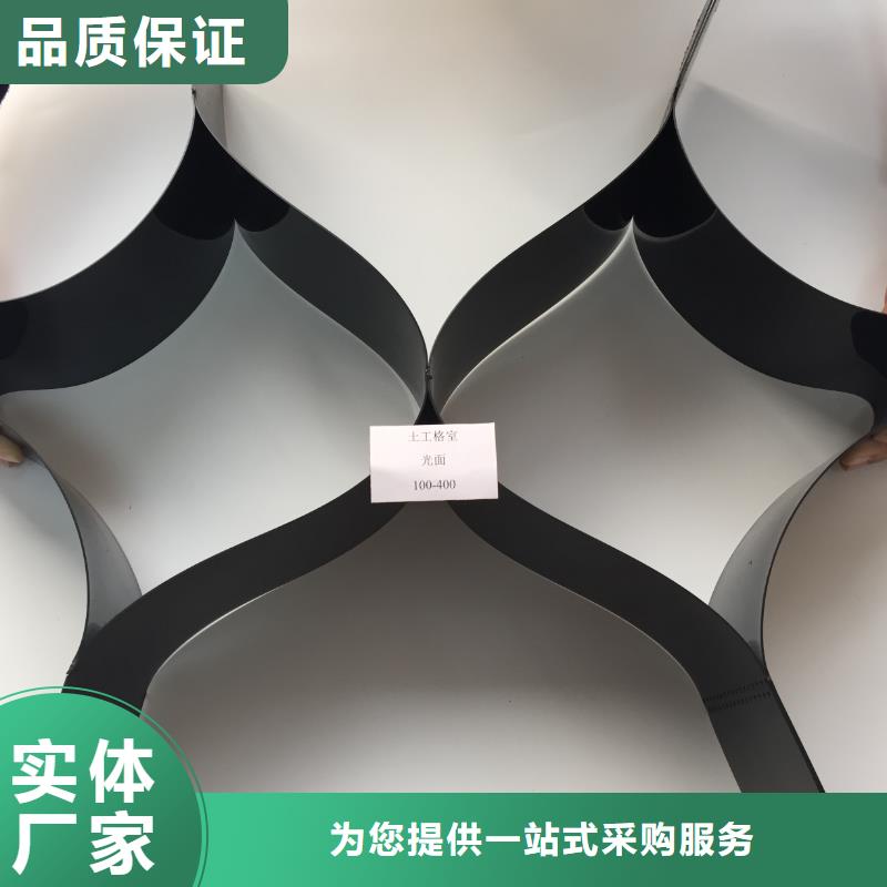 本地土工格柵網墊廠家