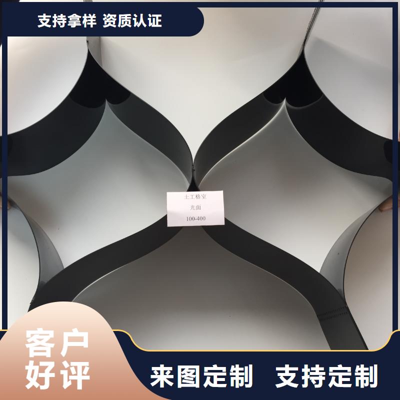 ：土工格柵網(wǎng)墊廠家