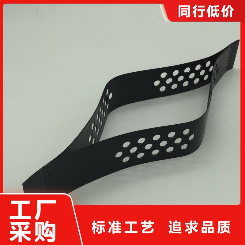 土工格柵網墊廠家資訊品質保障價格合理