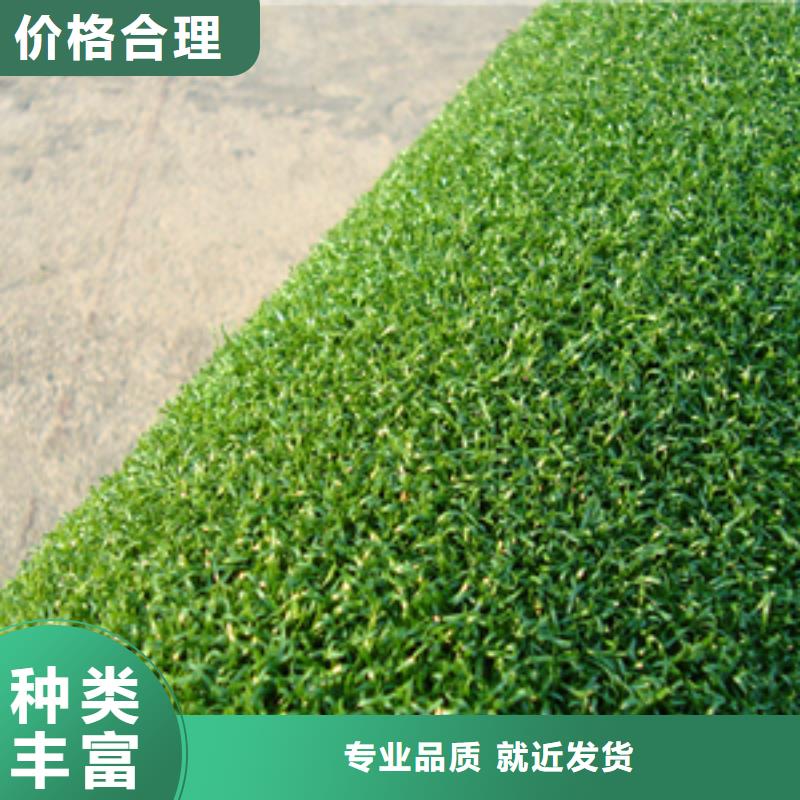 塑膠籃球場(chǎng)施工方案